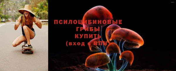 ПСИЛОЦИБИНОВЫЕ ГРИБЫ Алексеевка