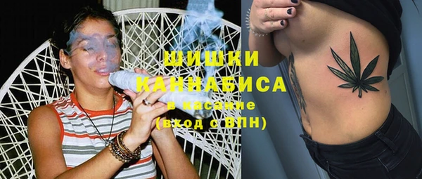 ПСИЛОЦИБИНОВЫЕ ГРИБЫ Алексеевка