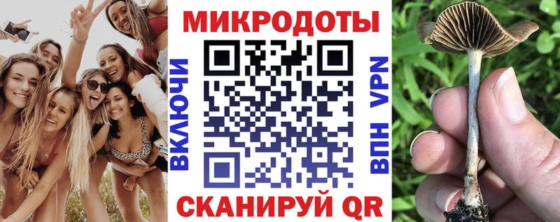 ОМГ ОМГ как войти  Кологрив  Псилоцибиновые грибы ЛСД 
